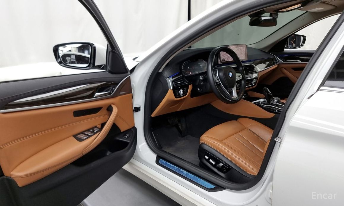 5 Series (G30)520i Luxury 11