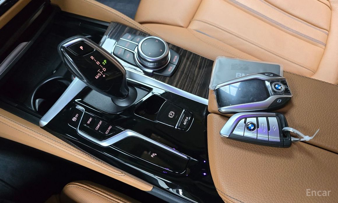 5 Series (G30)520i Luxury 10