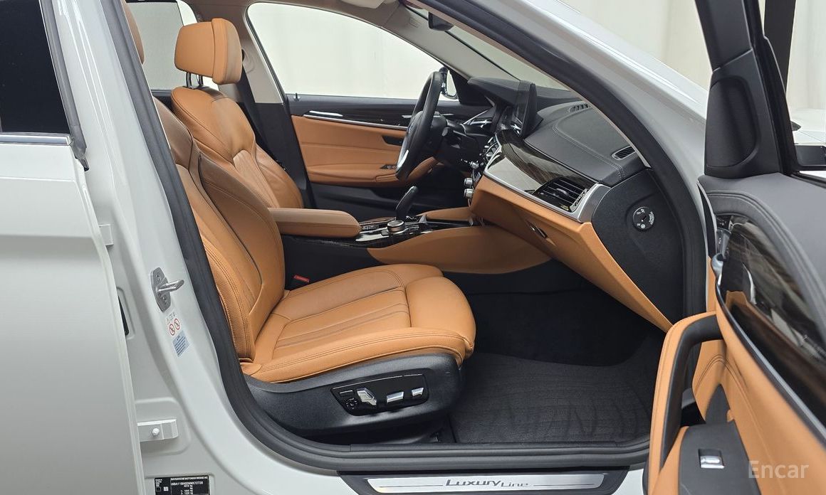 5 Series (G30)520i Luxury 11