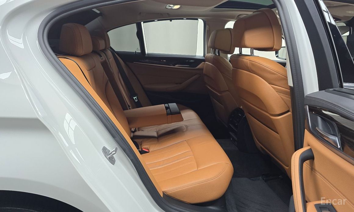 5 Series (G30)520i Luxury 13