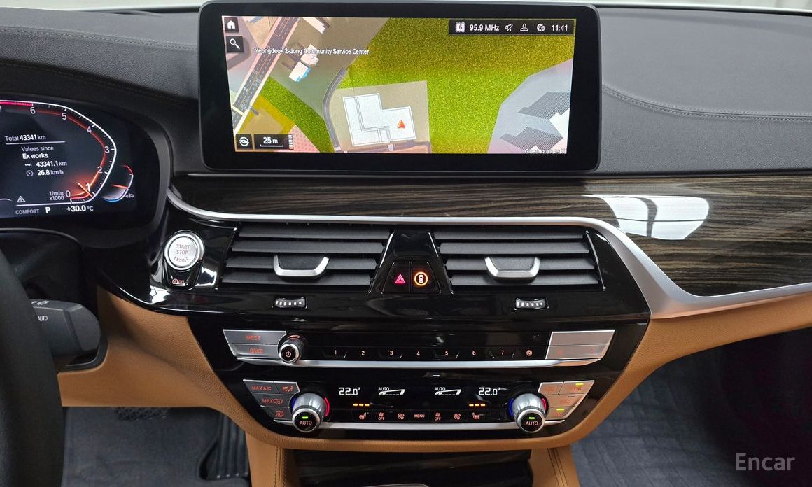 5 Series (G30)520i Luxury 15