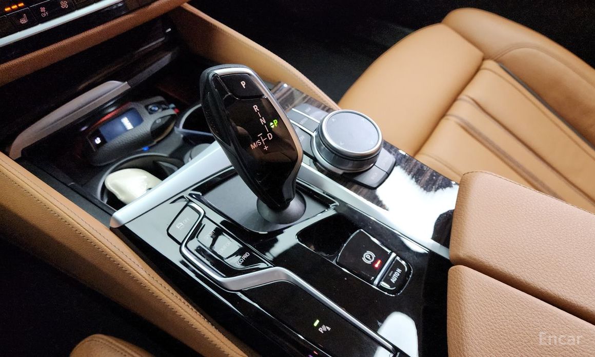 5 Series (G30)520i Luxury 10