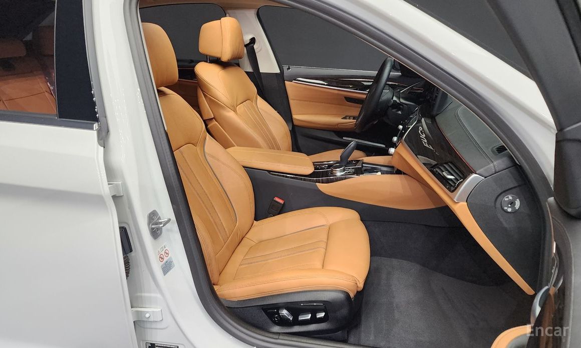5 Series (G30)520i Luxury 12