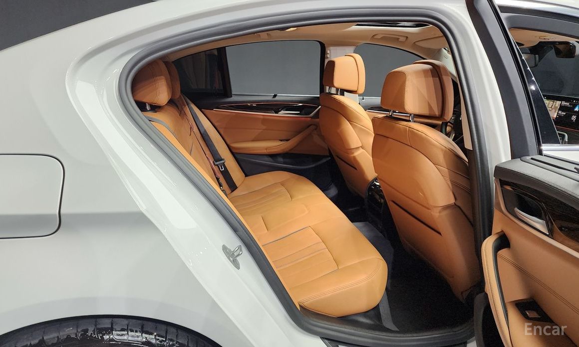 5 Series (G30)520i Luxury 13