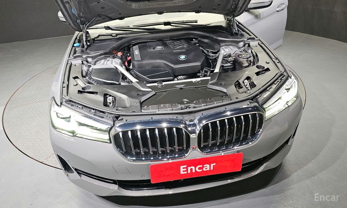 BMW 5 Series (G30)520i Luxury №7