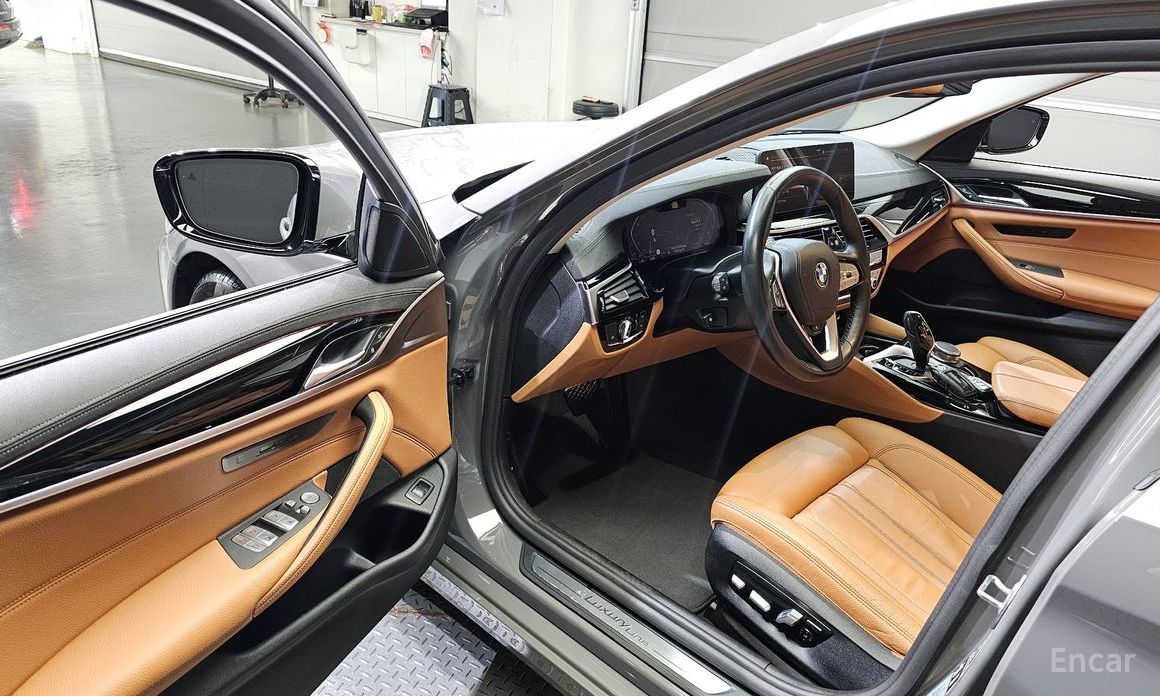 BMW 5 Series (G30)520i Luxury №11