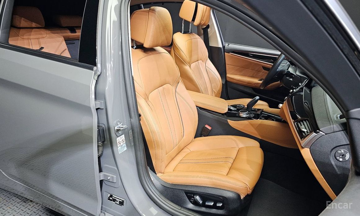 BMW 5 Series (G30)520i Luxury №13