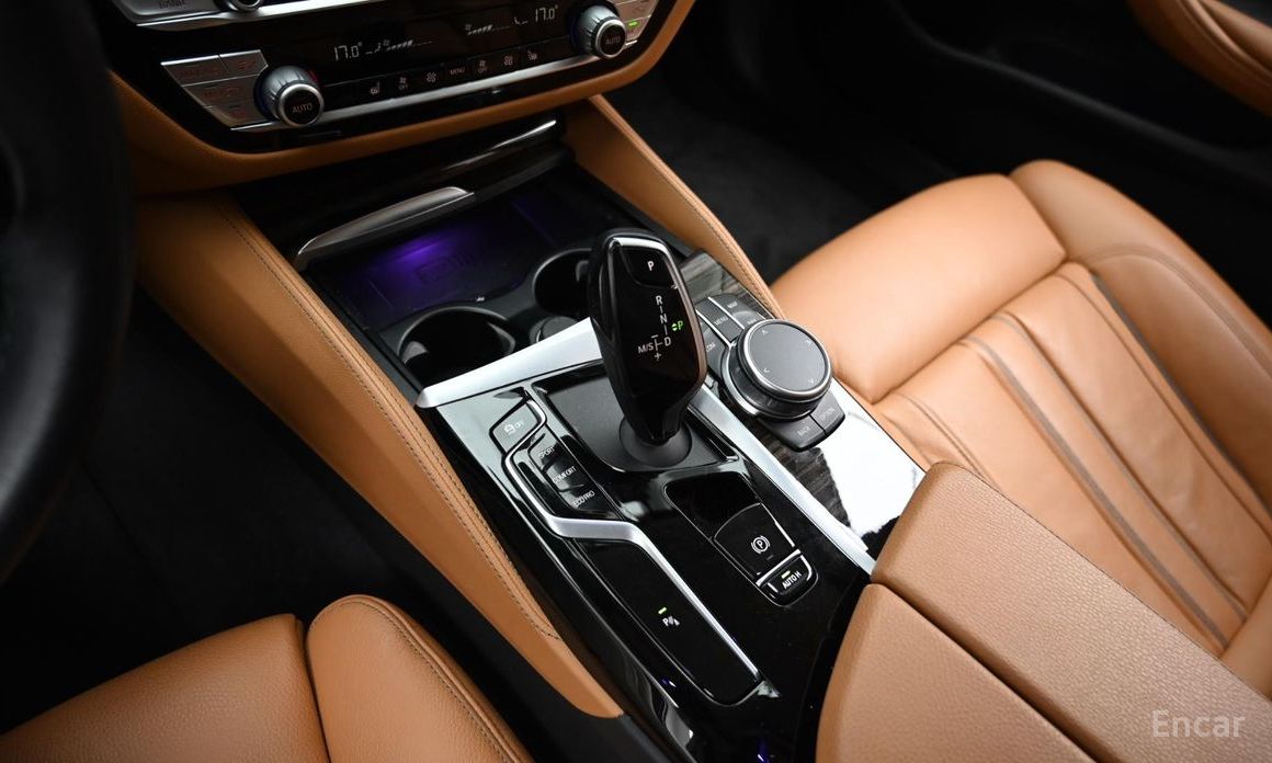 BMW 5 Series (G30)520i Luxury №10