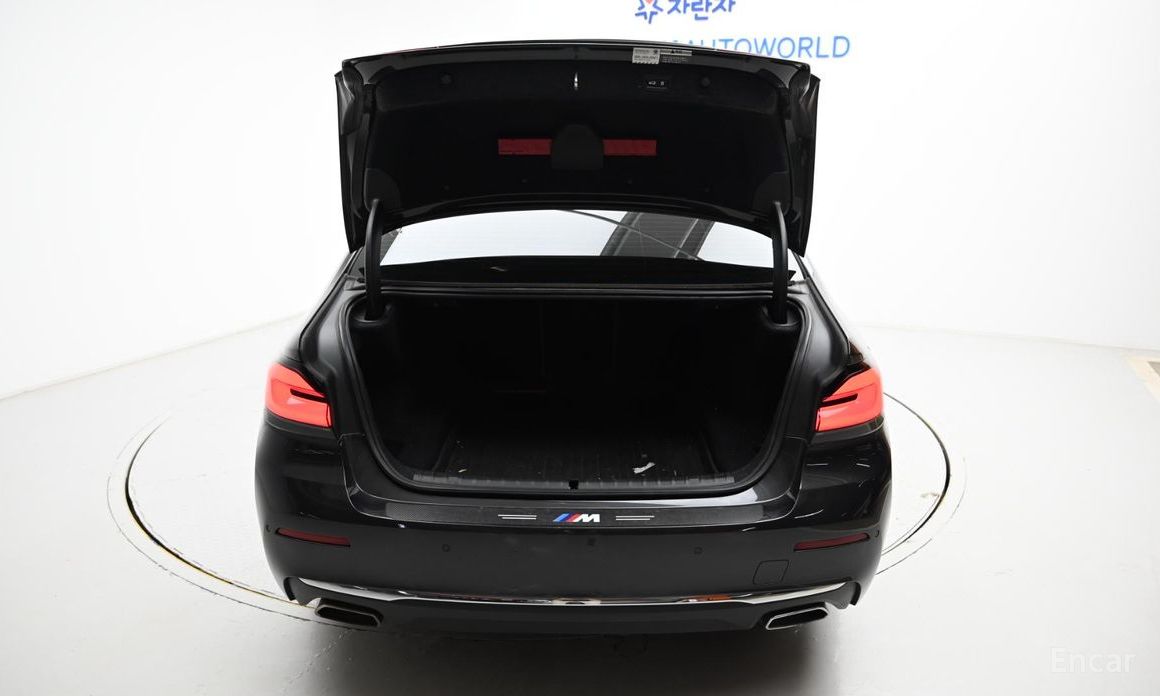 BMW 5 Series (G30)520i Luxury №21