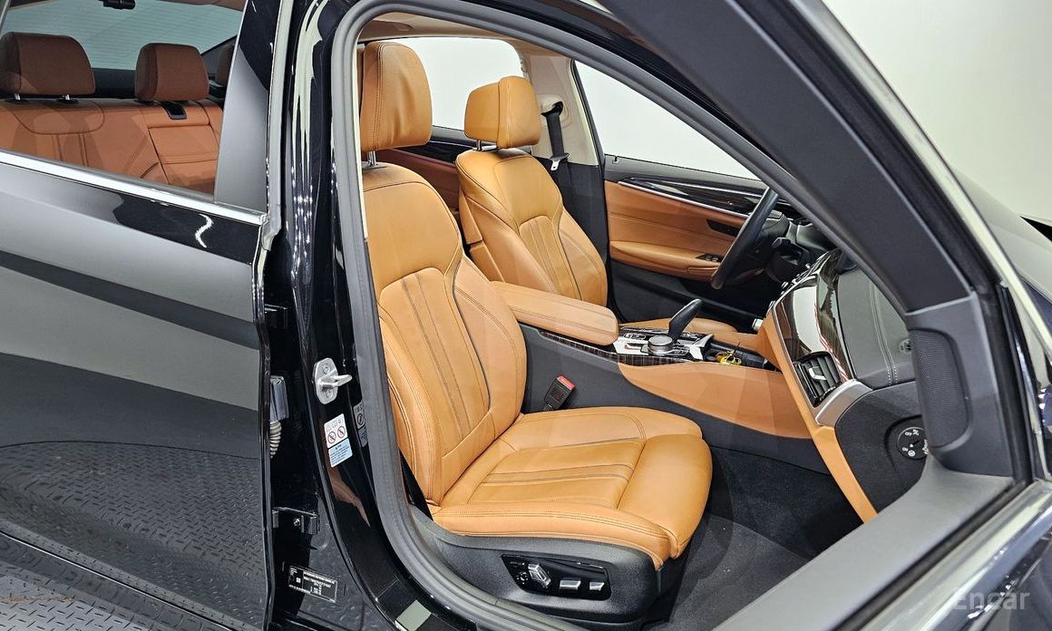 BMW 5 Series (G30)520i Luxury №12