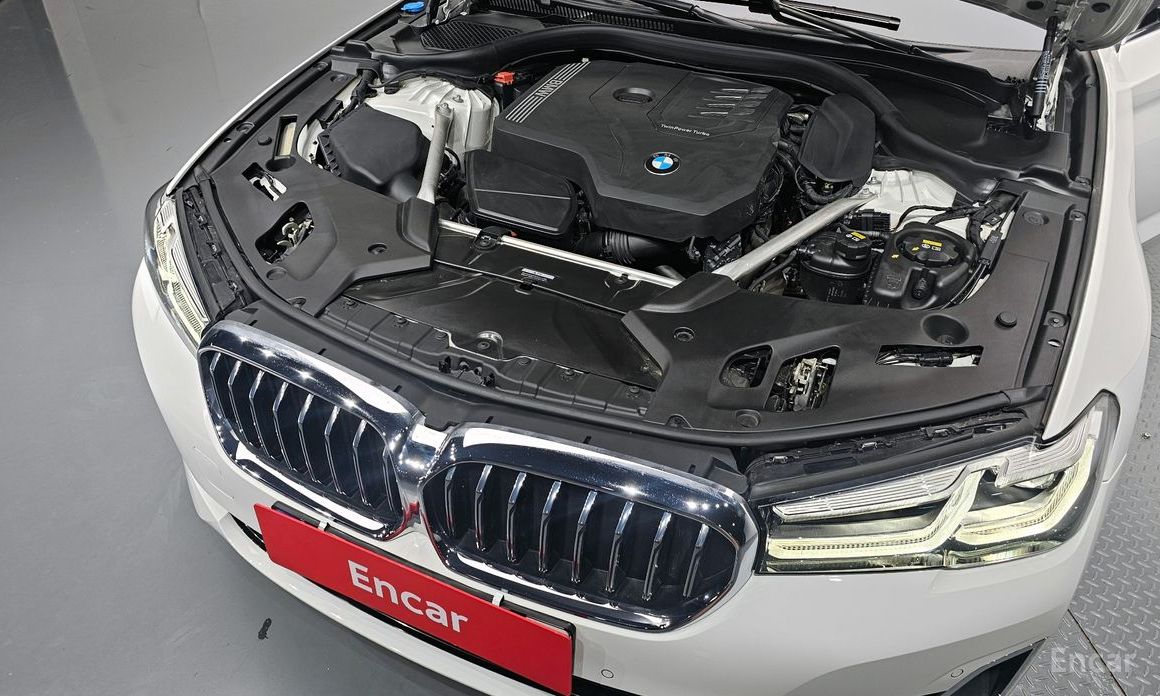 BMW 5 Series (G30)520i Luxury №7