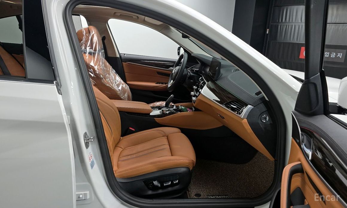 BMW 5 Series (G30)520i Luxury №11
