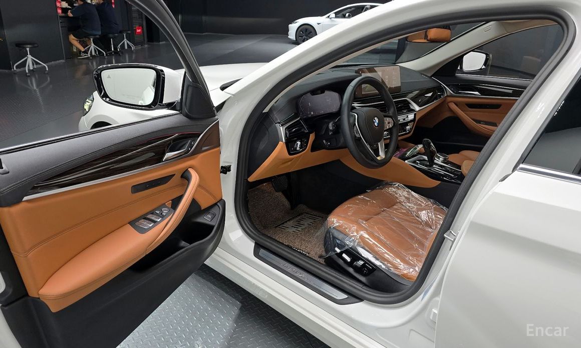 BMW 5 Series (G30)520i Luxury №12