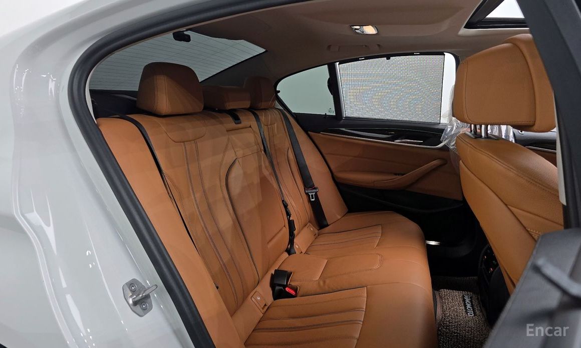 BMW 5 Series (G30)520i Luxury №13