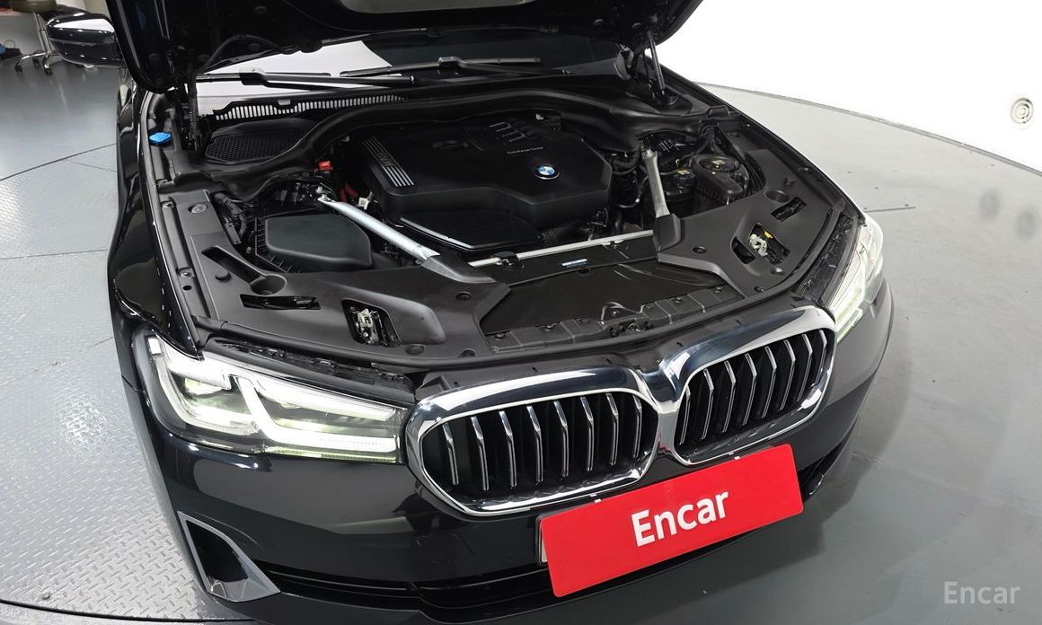 5 Series (G30)520i Luxury 6