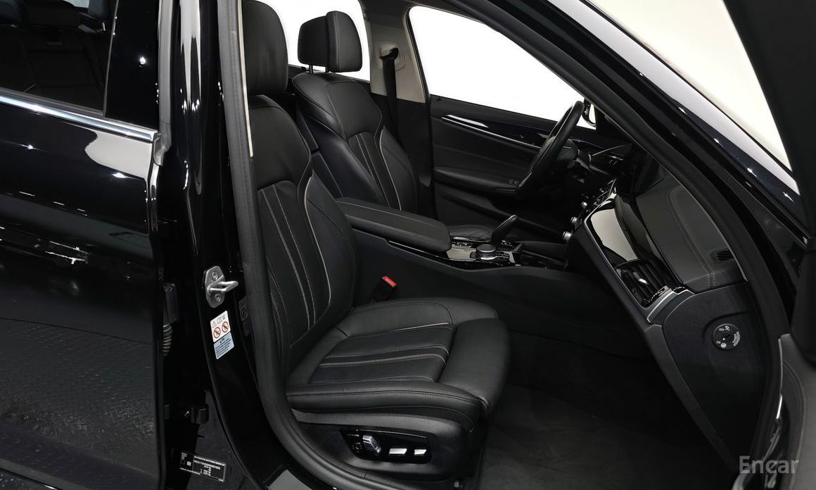 5 Series (G30)520i Luxury 10