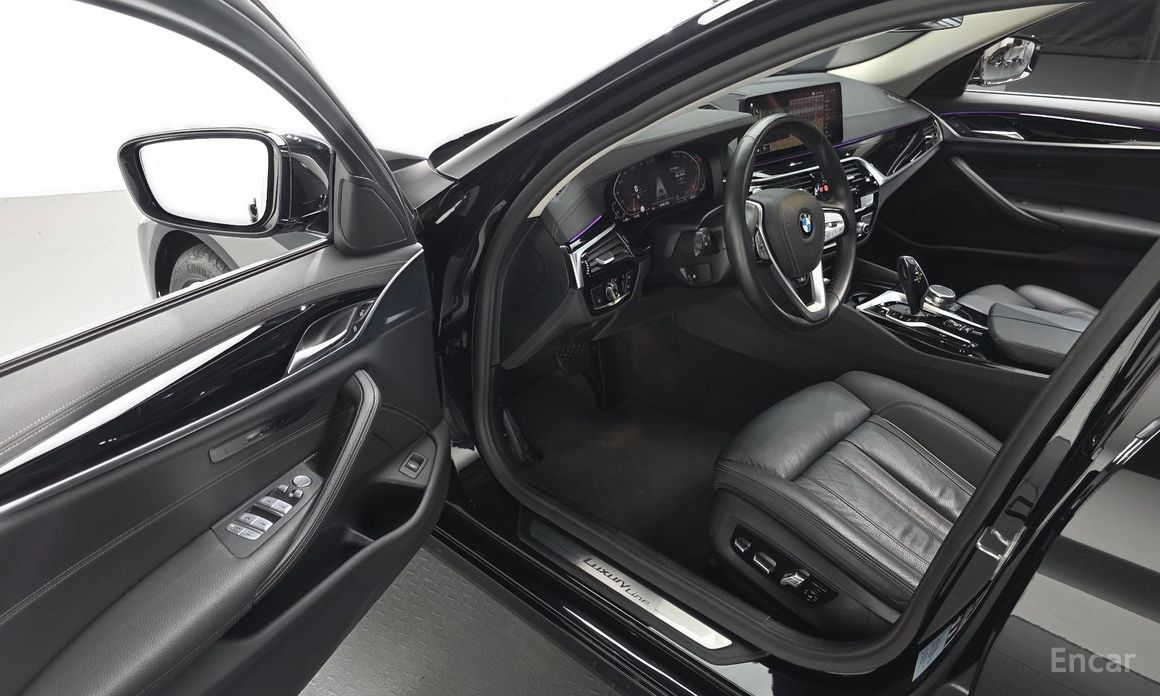 5 Series (G30)520i Luxury 11