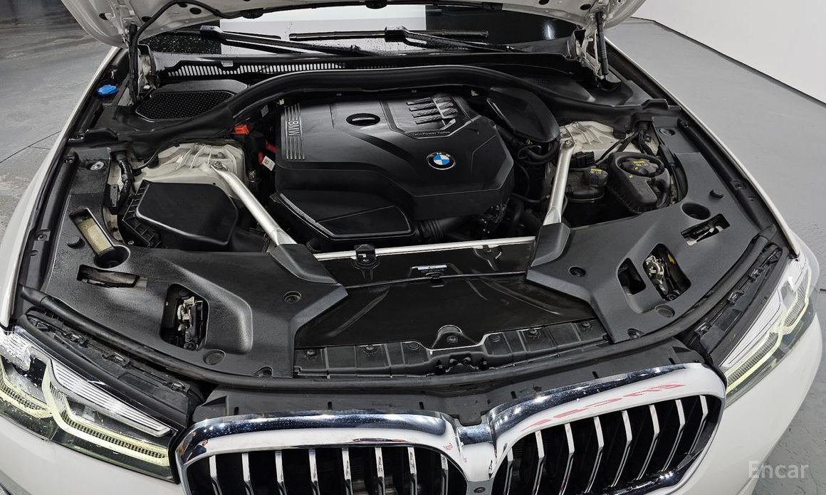 BMW 5 Series (G30)520i Luxury №7