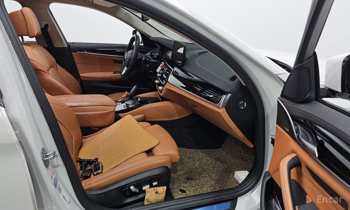 BMW 5 Series (G30)520i Luxury №11
