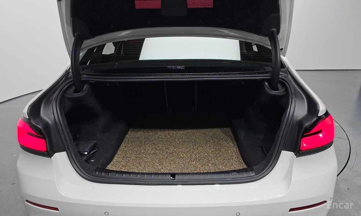 BMW 5 Series (G30)520i Luxury №21