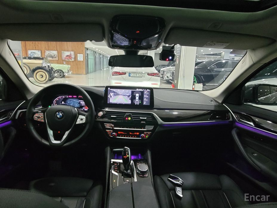 5 Series (G30)520i Luxury 8