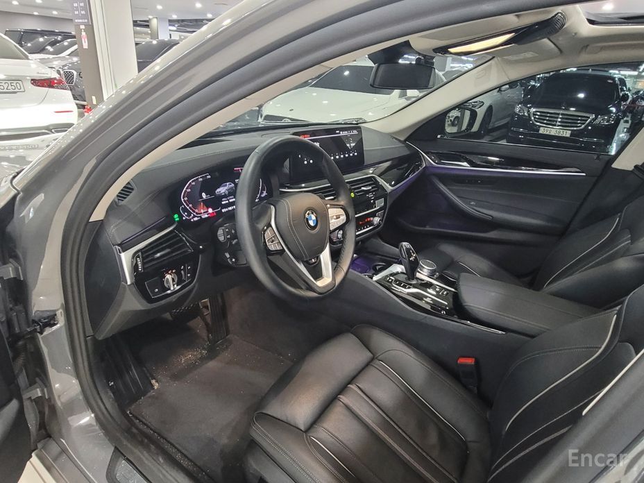 5 Series (G30)520i Luxury 11