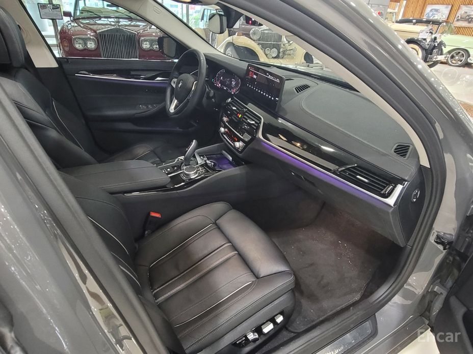 5 Series (G30)520i Luxury 14