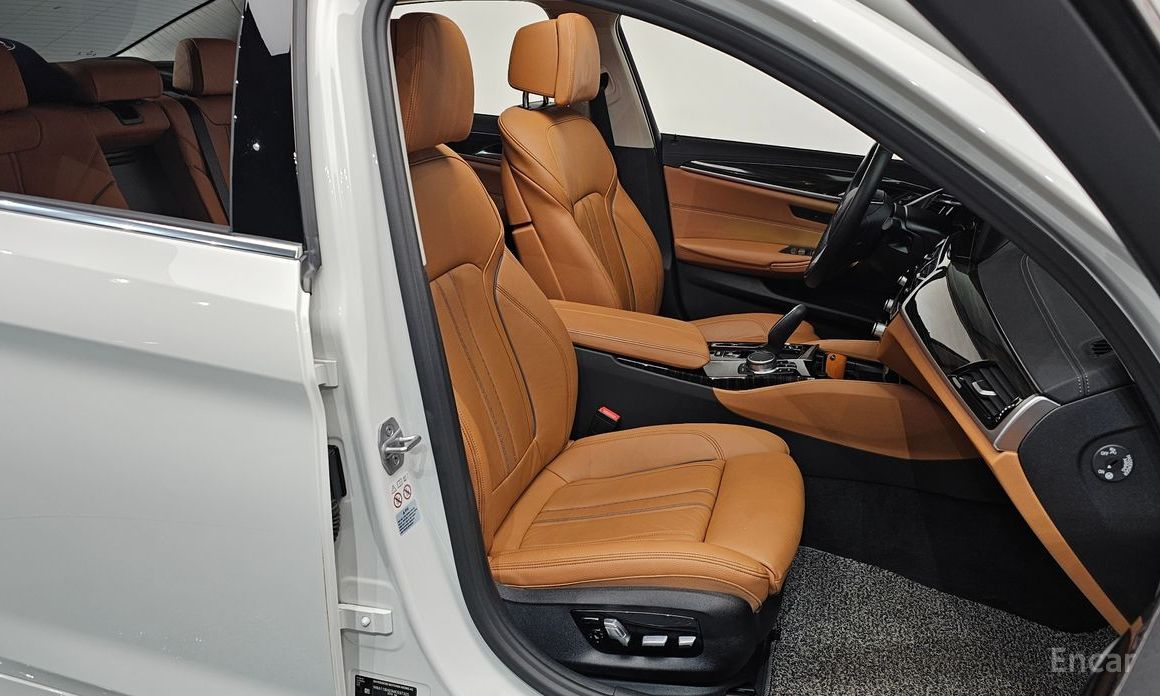BMW 5 Series (G30)520i Luxury №10