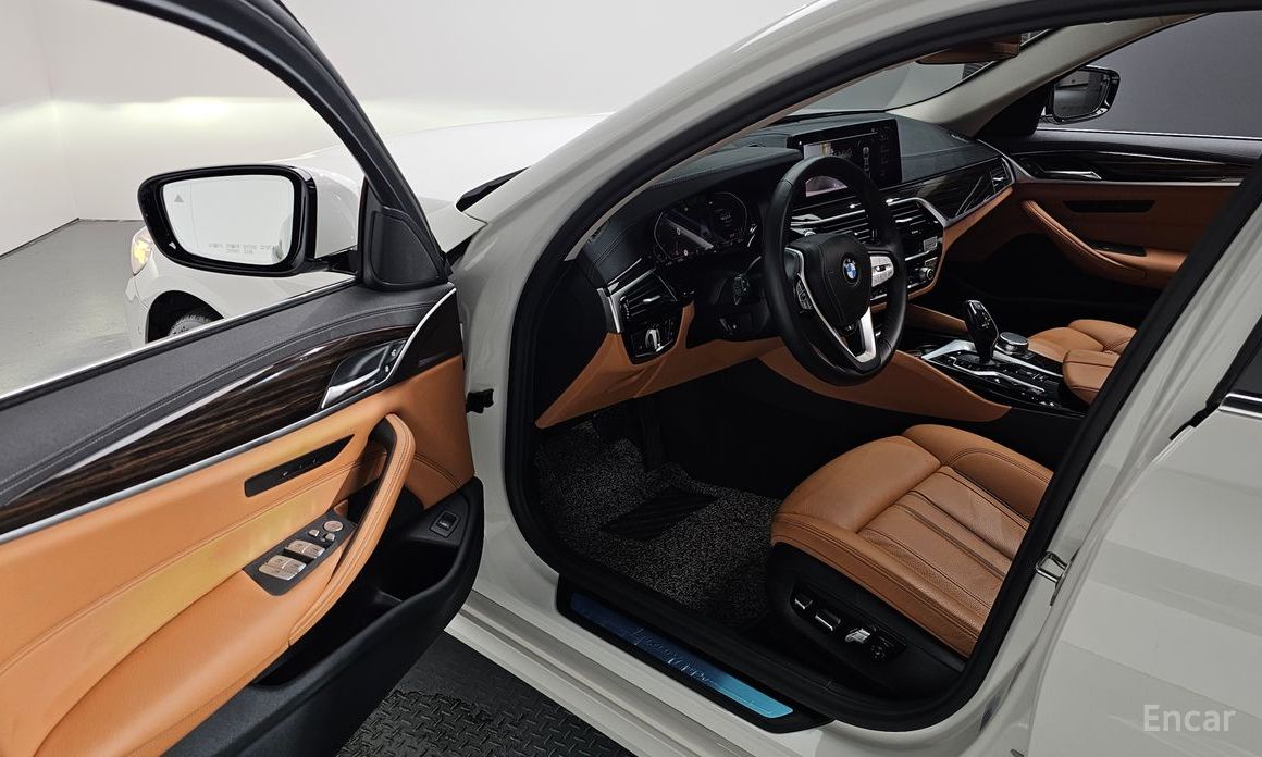BMW 5 Series (G30)520i Luxury №11