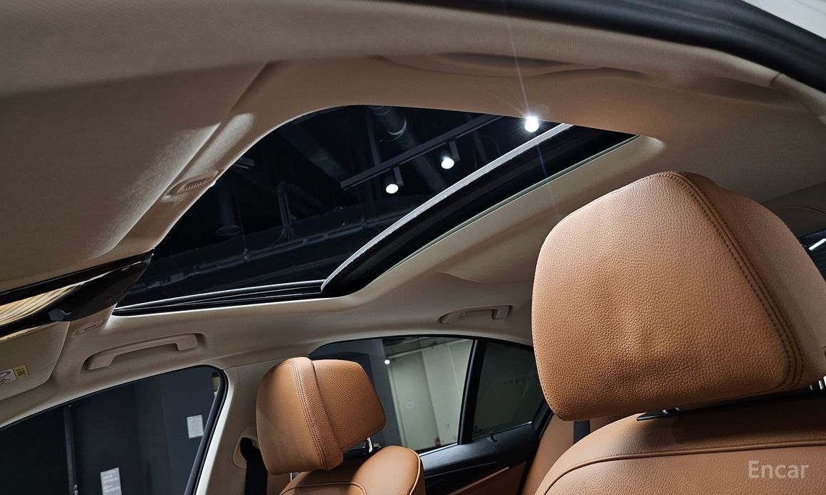 BMW 5 Series (G30)520i Luxury №16