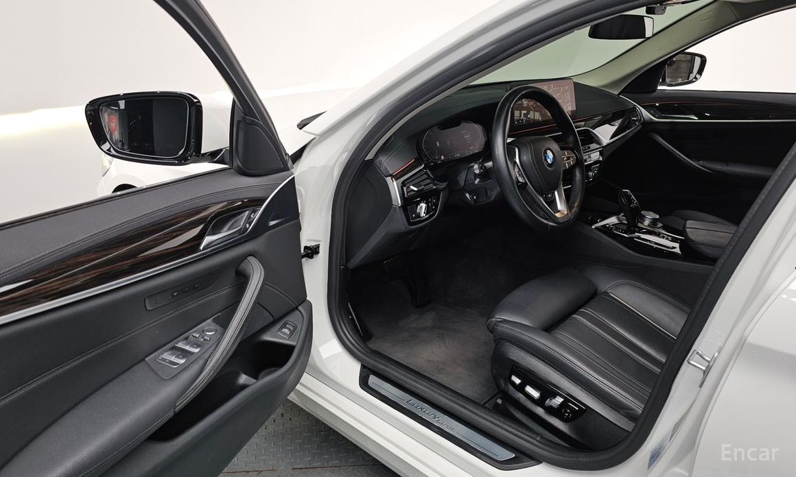 BMW 5 Series (G30)520i Luxury №11