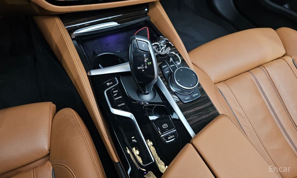 5 Series (G30)520i Luxury 10