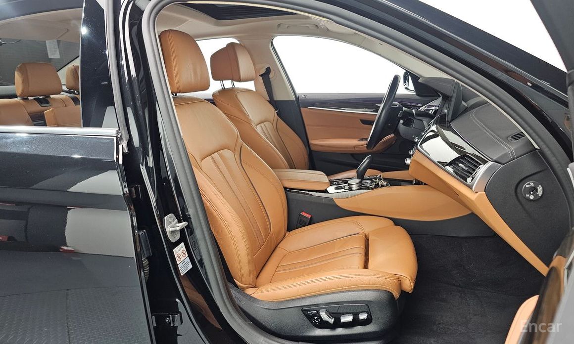 5 Series (G30)520i Luxury 11