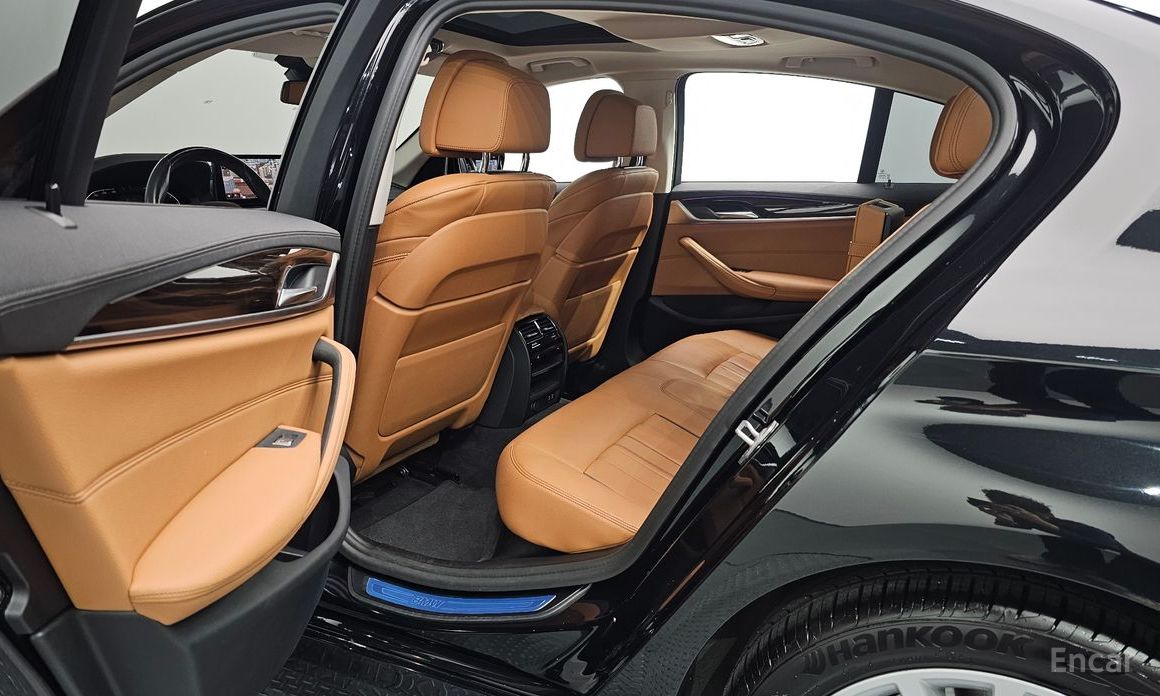 5 Series (G30)520i Luxury 13