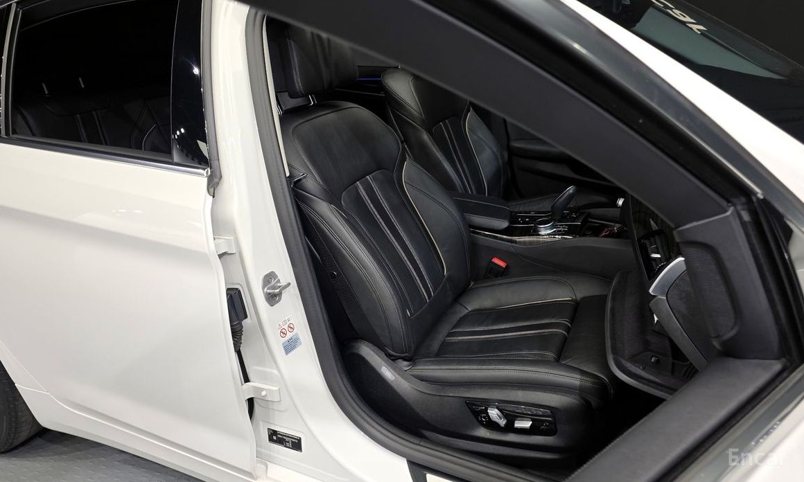 5 Series (G30)520i Luxury 13