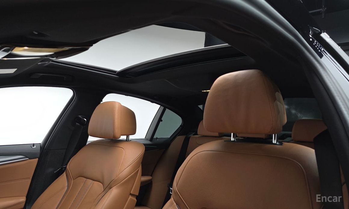 5 Series (G30)520i M Sport 19