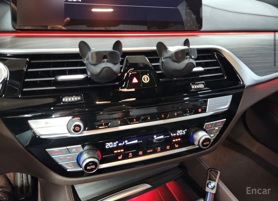 5 Series (G30)520i M Sport 18