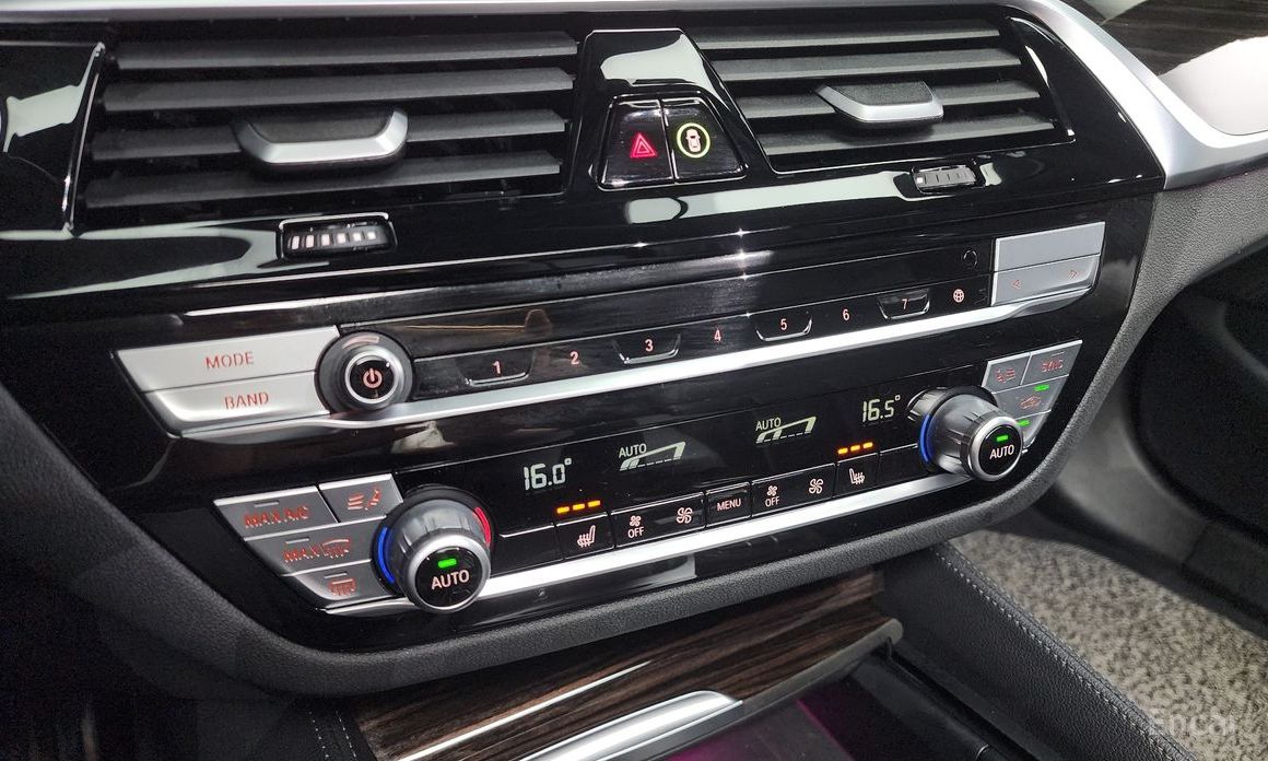 5 Series (G30)520i M Sport 19