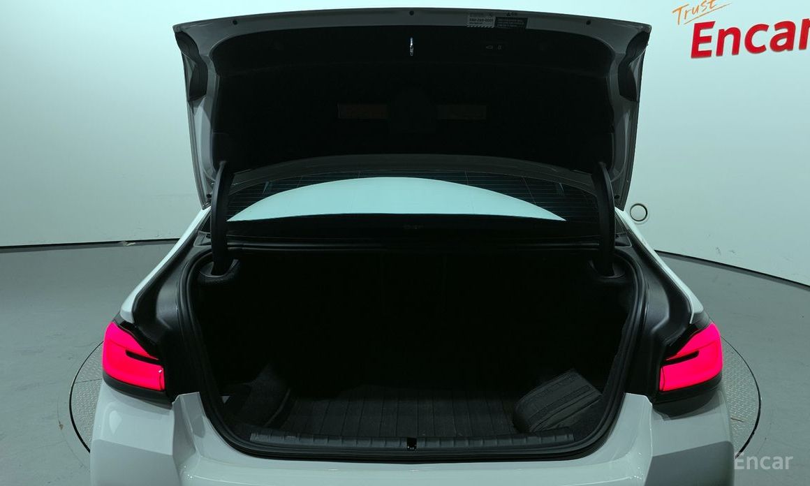 5 Series (G30)520i M Sport 21