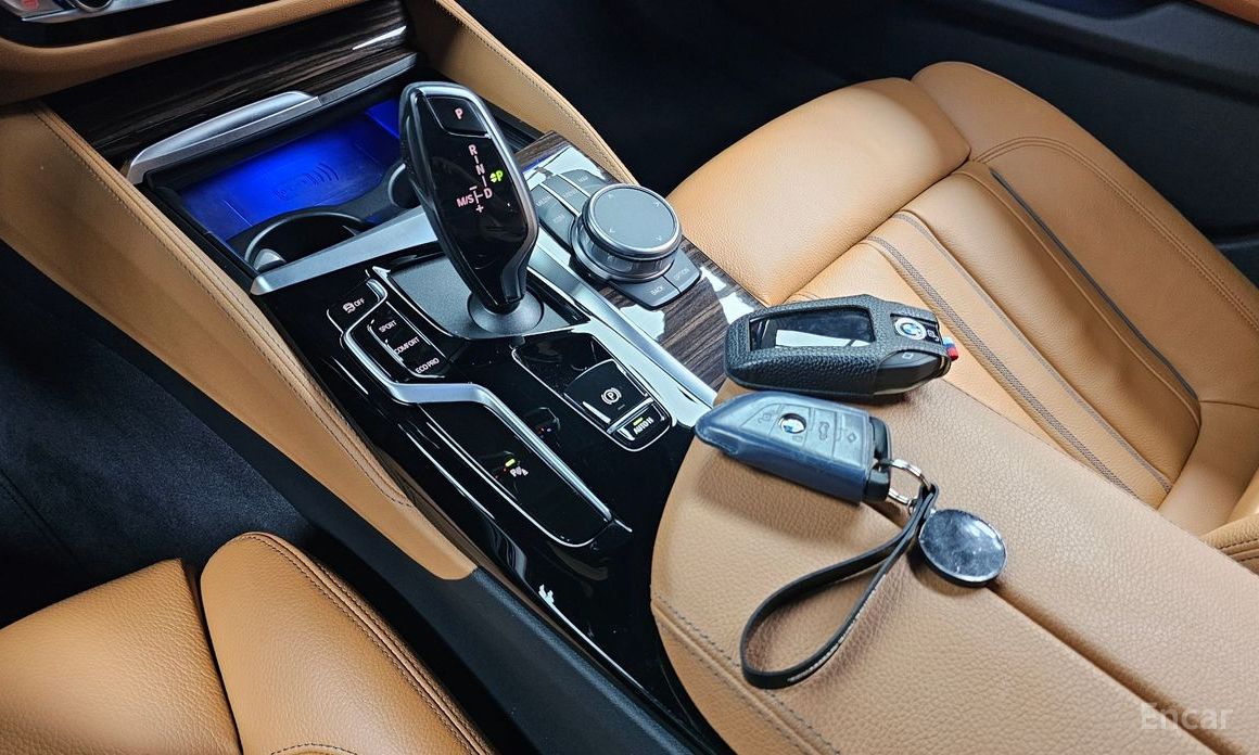 5 Series (G30)520i M Sport 10