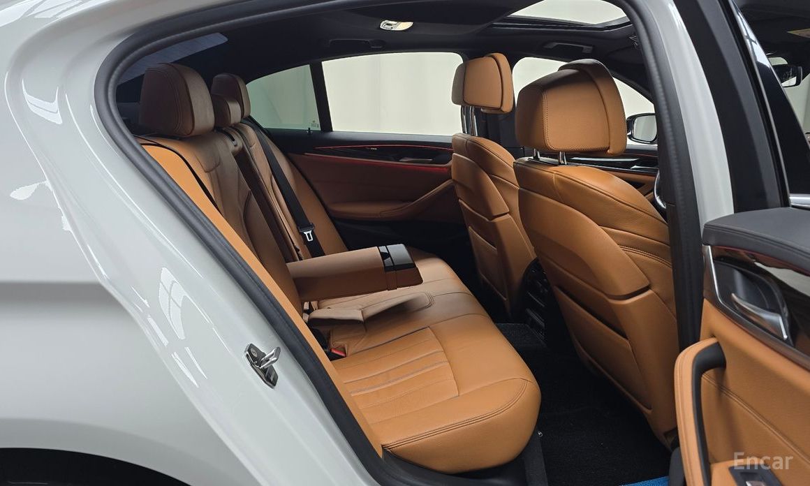 5 Series (G30)520i M Sport 13