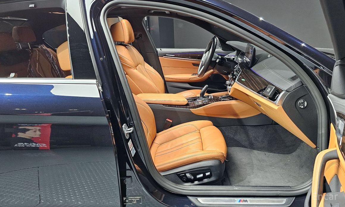 BMW 5 Series (G30)520i M Sport №11
