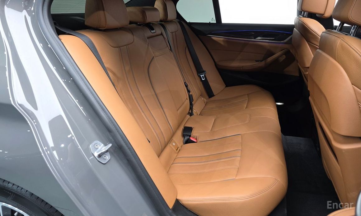 5 Series (G30)520i M Sport 12