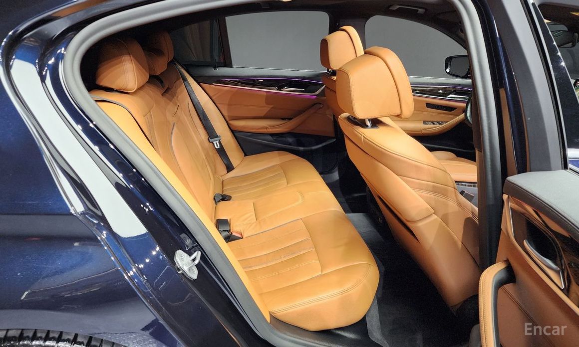 5 Series (G30)520i M Sport 13