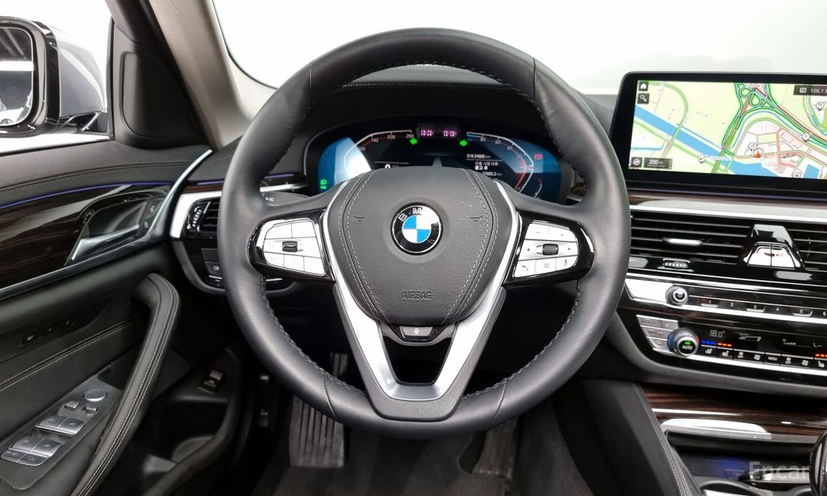 BMW 5 Series (G30)523d Luxury №14