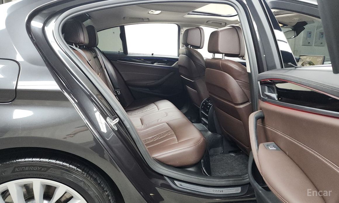 5 Series (G30)523d Luxury 13
