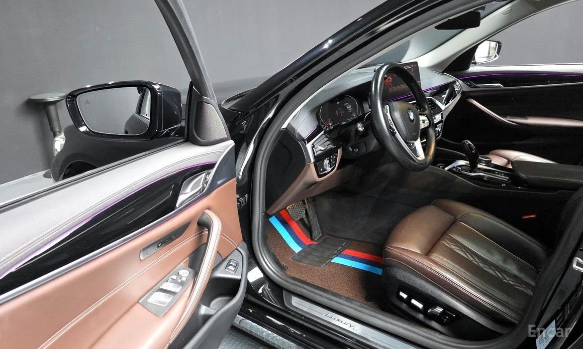 5 Series (G30)523d Luxury 11