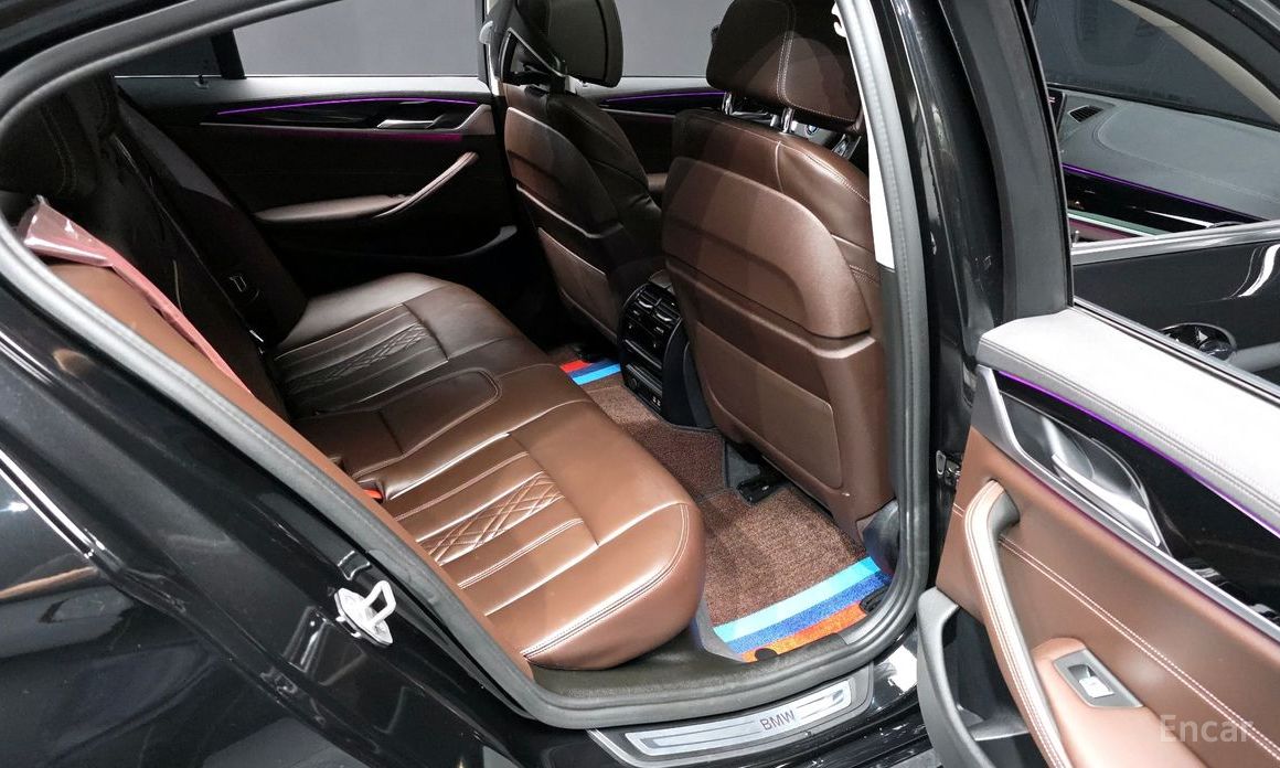 5 Series (G30)523d Luxury 13