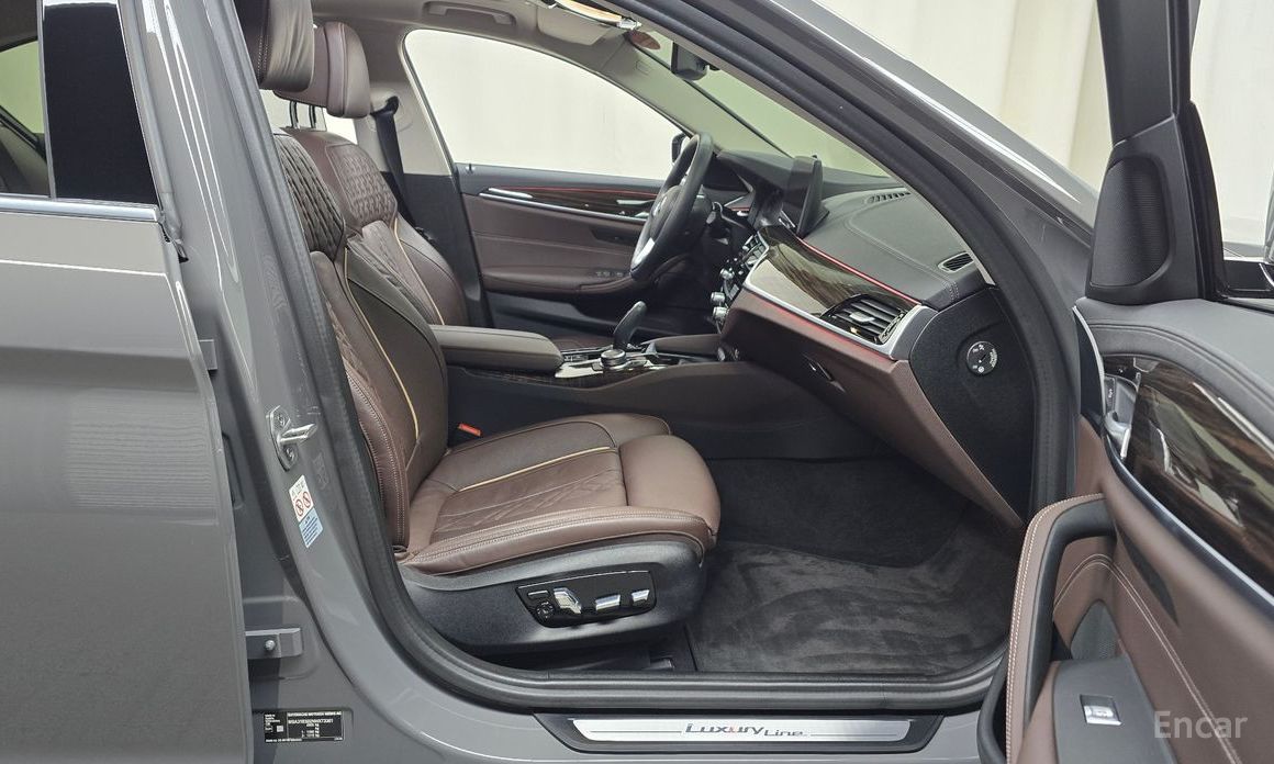 5 Series (G30)523d xDrive Luxury 11