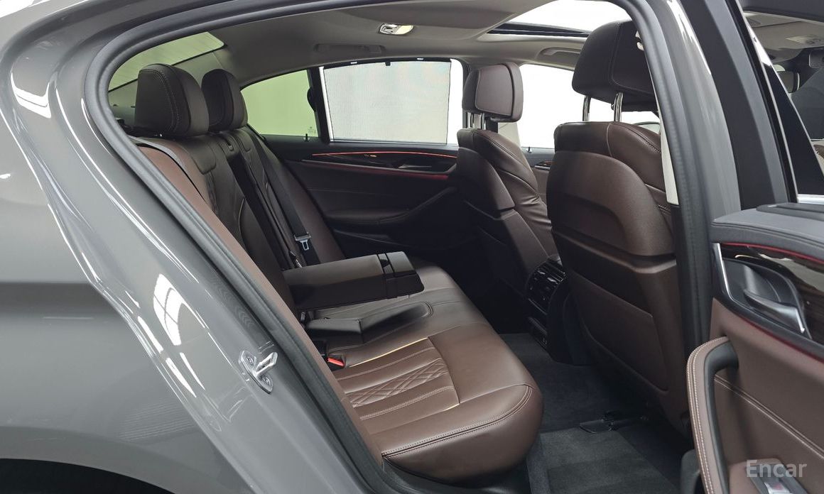 5 Series (G30)523d xDrive Luxury 13